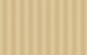 Trend Trend9 004 1