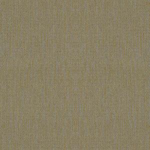 Origin 31364