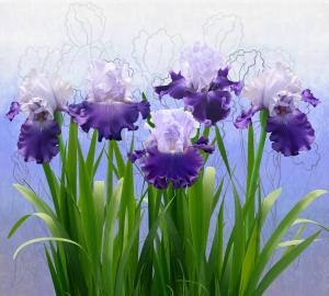 Ирисы синие 6-218nk