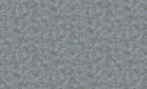 Caterina 84195-5