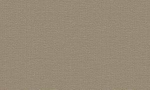 Caterina 84202-7
