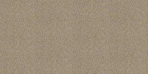 Breeze RDT2205-5