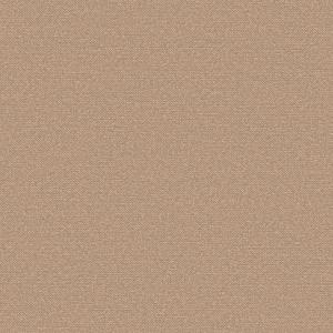 Spectrum 54337-20