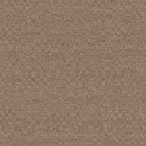 Spectrum 54337-21