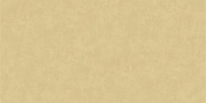 Carnazza 5063-6