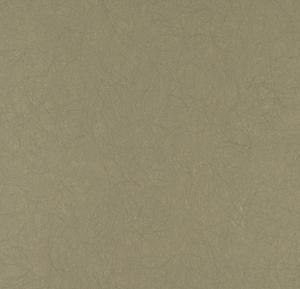 Legend 5068-71