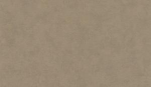 Shades 32429