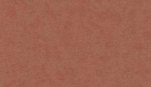 Shades 32430
