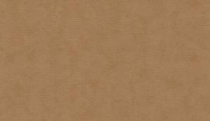 Shades 32431