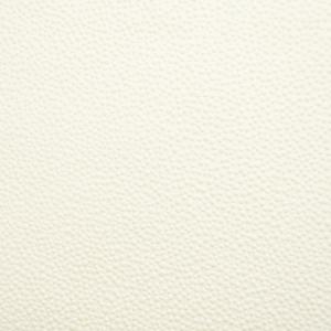 Patent Decor 9879