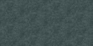 Medici 84210-13