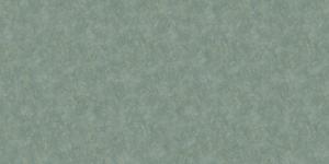 Carlotta 84217-12