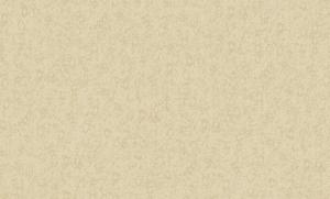 Renzo 84170-6