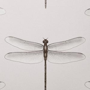 Cavolli 54426-6